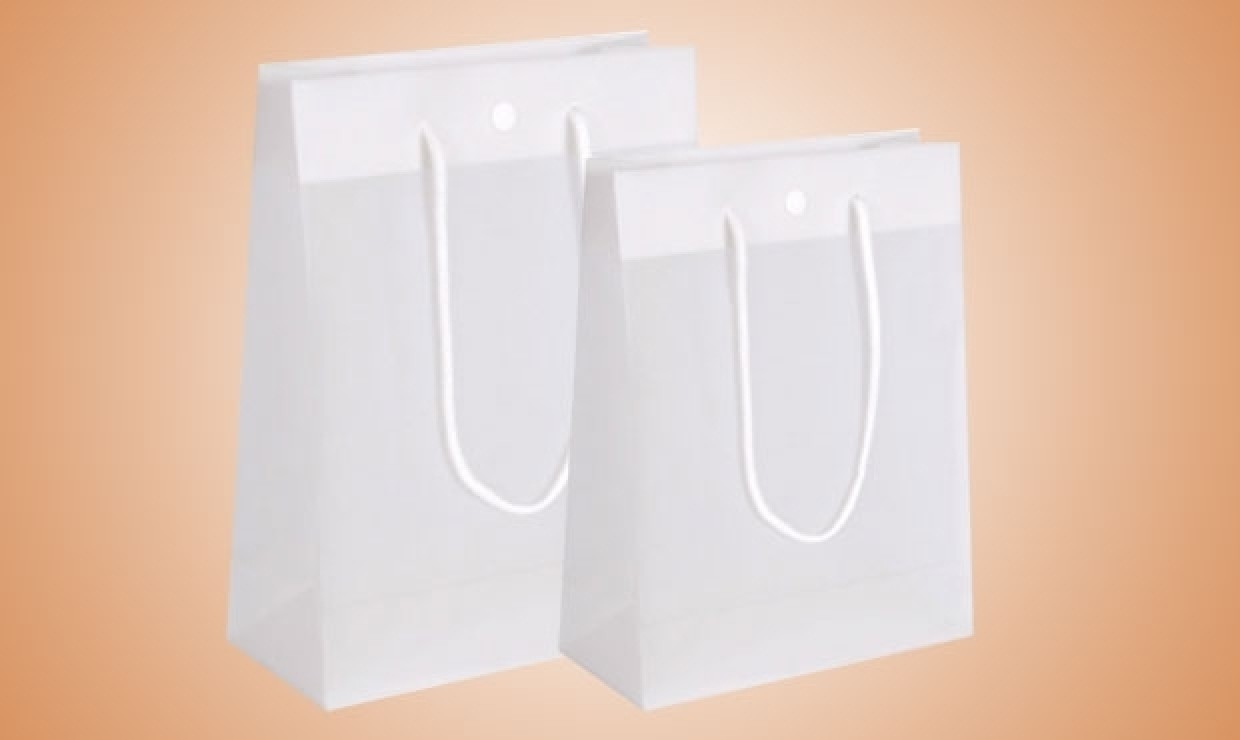 PP carrier bag with cords and snap fastener 160+80x160mm Semi-transparent