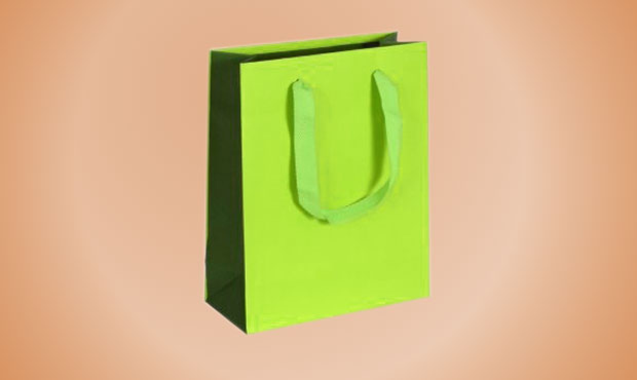 Paper bag textile tape 22+10x27,5cm 170g/m² Bicolor light green