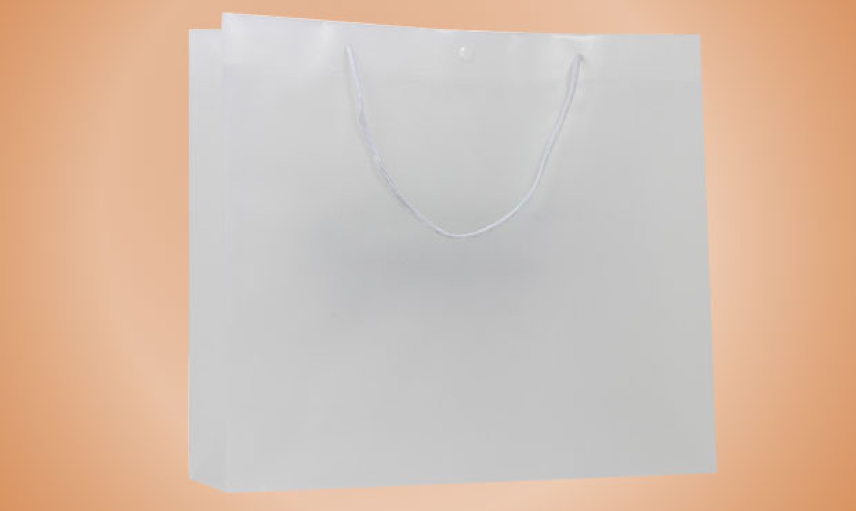 PP carrier bag with cords and snap fastener 410+120x360mm Semi-transparent